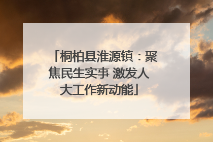 桐柏县淮源镇：聚焦民生实事 激发人大工作新动能