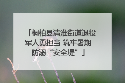 桐柏县清淮街道退役军人勇担当 筑牢暑期防溺“安全堤”