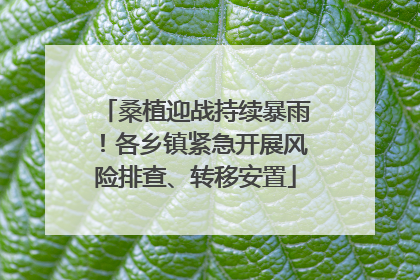 桑植迎战持续暴雨！各乡镇紧急开展风险排查、转移安置