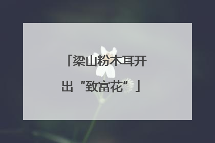 梁山粉木耳开出“致富花”