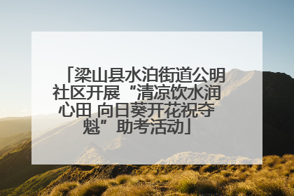 梁山县水泊街道公明社区开展“清凉饮水润心田 向日葵开花祝夺魁”助考活动