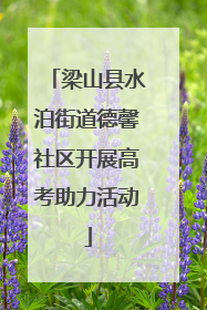 梁山县水泊街道德馨社区开展高考助力活动