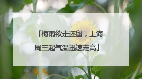 梅雨欲走还留，上海周三起气温迅速走高