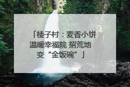 楼子村：麦香小饼温暖幸福院 撂荒地变“金饭碗”