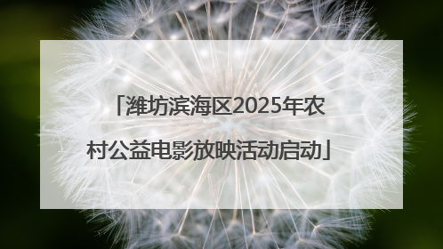 潍坊滨海区2025年农村公益电影放映活动启动