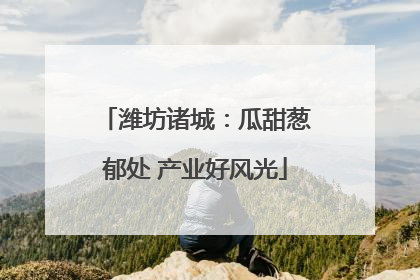 潍坊诸城：瓜甜葱郁处 产业好风光