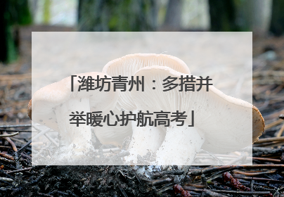 潍坊青州：多措并举暖心护航高考