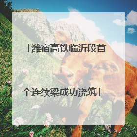 潍宿高铁临沂段首个连续梁成功浇筑