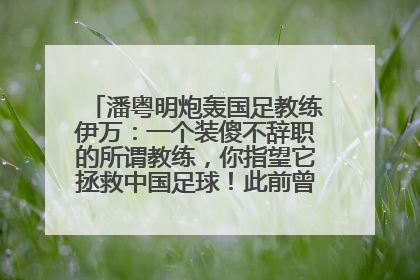 潘粤明炮轰国足教练伊万：一个装傻不辞职的所谓教练，你指望它拯救中国足球！此前曾多次发文评价国足