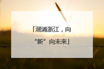 潮涌浙江，向“新”向未来