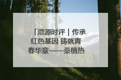 澧源时评｜传承红色基因 铸就青春华章——桑植热土上的青春长征