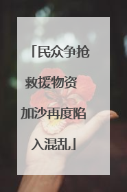 民众争抢救援物资 加沙再度陷入混乱