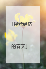 民营经济的春天