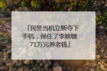民警当机立断夺下手机，保住了李娭毑71万元养老钱