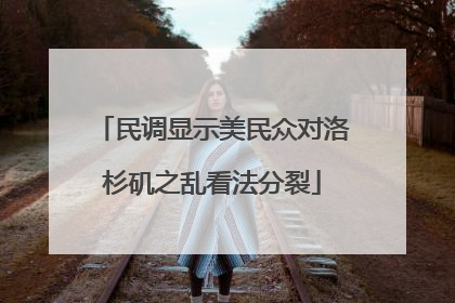 民调显示美民众对洛杉矶之乱看法分裂