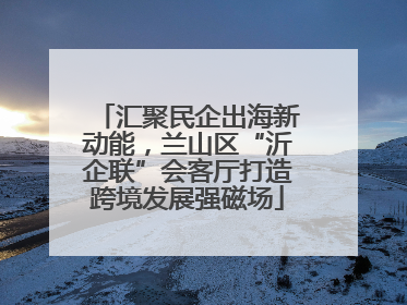 汇聚民企出海新动能，兰山区“沂企联”会客厅打造跨境发展强磁场