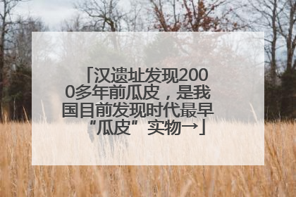 汉遗址发现2000多年前瓜皮，是我国目前发现时代最早“瓜皮”实物→