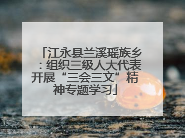 江永县兰溪瑶族乡：组织三级人大代表开展“三会三文”精神专题学习