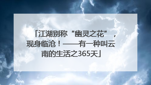 江湖别称“幽灵之花”，现身临沧！——有一种叫云南的生活之365天