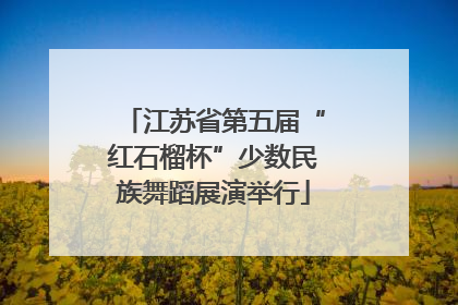 江苏省第五届“红石榴杯”少数民族舞蹈展演举行