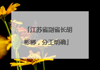 江苏省副省长胡彬郴，分工明确