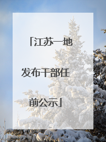 江苏一地发布干部任前公示