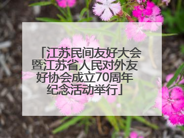 江苏民间友好大会暨江苏省人民对外友好协会成立70周年纪念活动举行