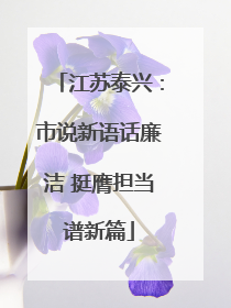 江苏泰兴：市说新语话廉洁 挺膺担当谱新篇