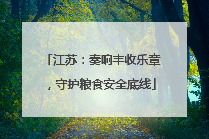 江苏：奏响丰收乐章，守护粮食安全底线