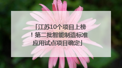江苏10个项目上榜！第二批智能制造标准应用试点项目确定