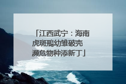 江西武宁：海南虎斑鳽幼雏破壳 濒危物种添新丁