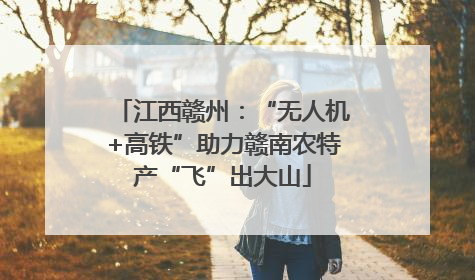 江西赣州：“无人机+高铁”助力赣南农特产“飞”出大山
