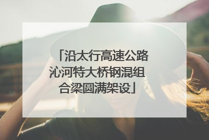 沿太行高速公路沁河特大桥钢混组合梁圆满架设