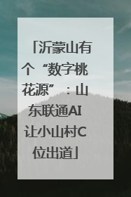 沂蒙山有个“数字桃花源”：山东联通AI让小山村C位出道
