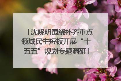 沈晓明围绕补齐重点领域民生短板开展“十五五”规划专题调研