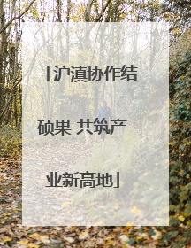 沪滇协作结硕果 共筑产业新高地