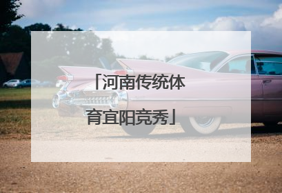 河南传统体育宜阳竞秀