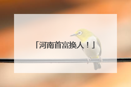 河南首富换人！