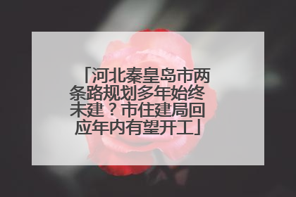 河北秦皇岛市两条路规划多年始终未建？市住建局回应年内有望开工