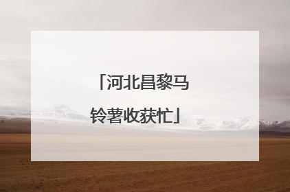 河北昌黎马铃薯收获忙