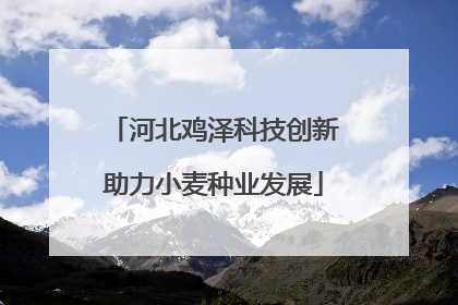 河北鸡泽科技创新助力小麦种业发展