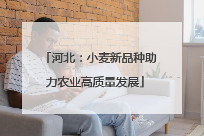 河北：小麦新品种助力农业高质量发展