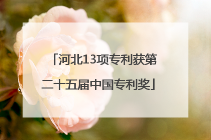 河北13项专利获第二十五届中国专利奖