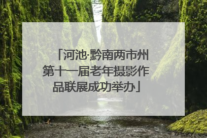 河池·黔南两市州第十一届老年摄影作品联展成功举办