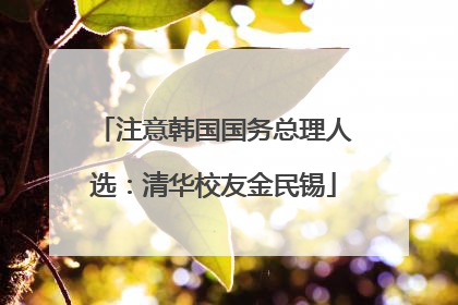 注意韩国国务总理人选：清华校友金民锡