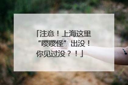 注意！上海这里“嘤嘤怪”出没！你见过没？！