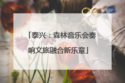 泰兴：森林音乐会奏响文旅融合新乐章