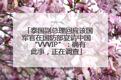 泰国副总理回应该国军官在国防部宴请中国“VVVIP”：确有此事，正在调查