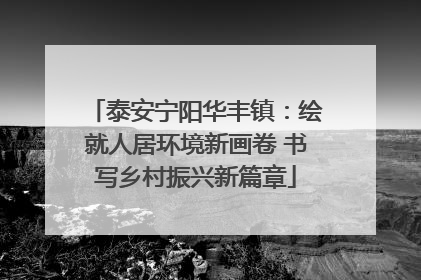 泰安宁阳华丰镇：绘就人居环境新画卷 书写乡村振兴新篇章