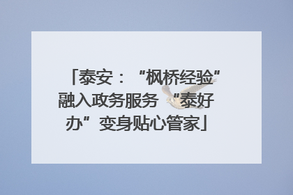 泰安：“枫桥经验”融入政务服务 “泰好办”变身贴心管家